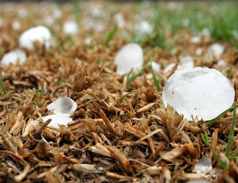 Assessing Damages to Your Home After a Hailstorm