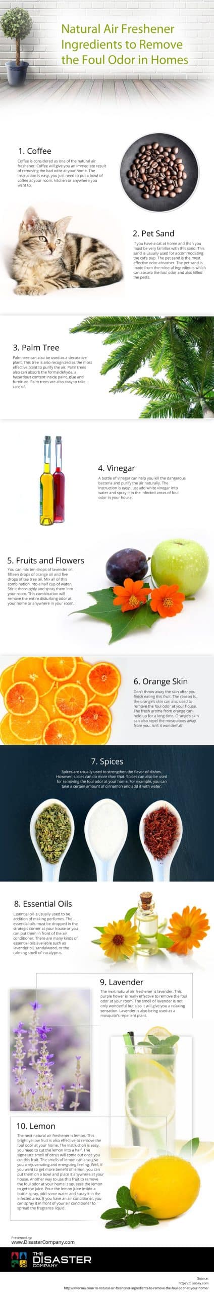 Natural Air Freshener Ingredients to Remove the Foul Odor in Homes [infographic]