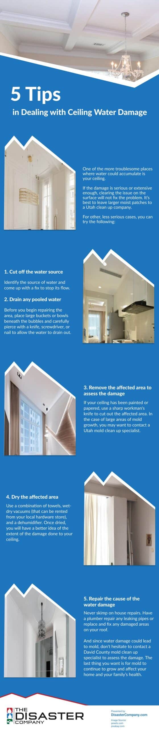 5 Tips in Dealing with Ceiling Water Damage Infographic