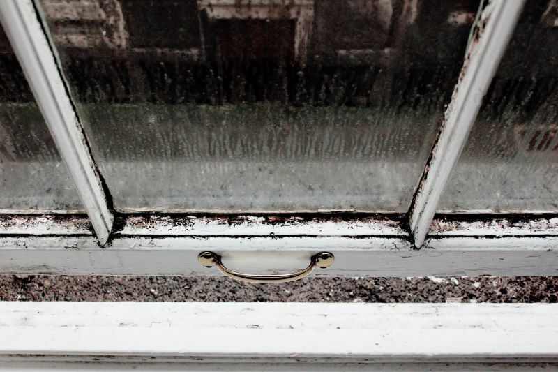 How to Get Rid of Mold on Windows in Cold Weather