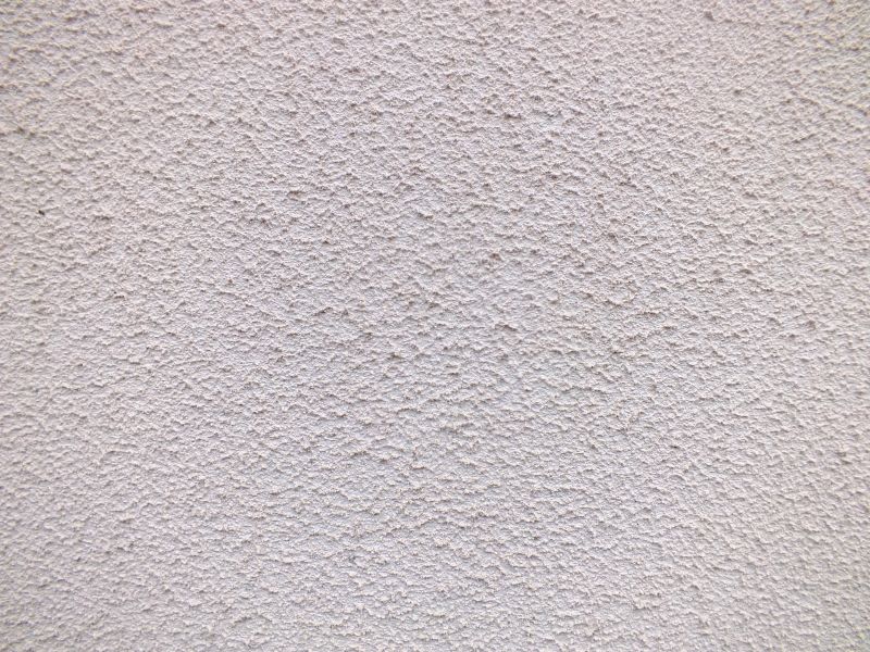Can Mold Grow on Plaster Walls?