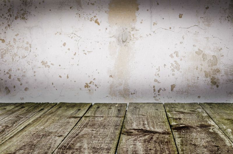 8 Signs Your Crawl Space Is Damaged and Needs Repair