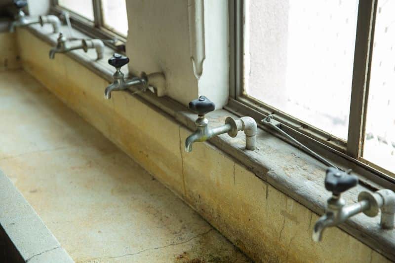 How Mold Can Affect a Property’s Value