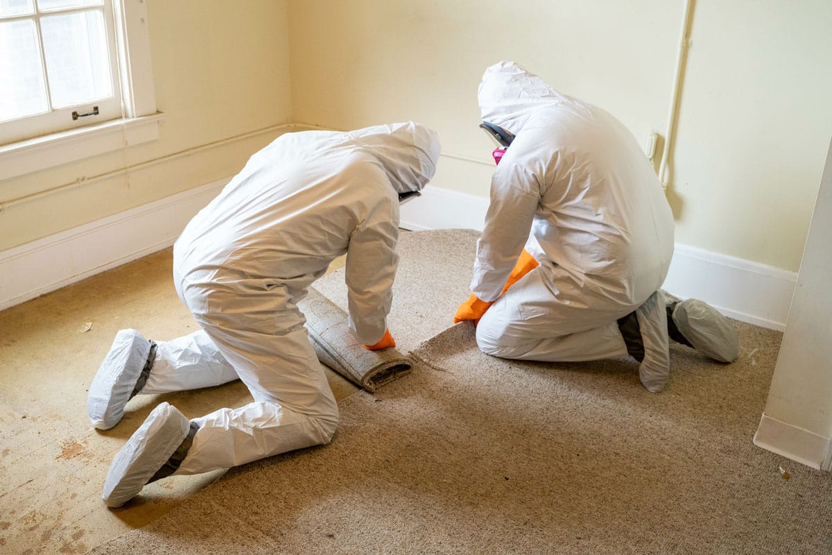 Utah Mold Remediation | Mold Inspection & Cleanup