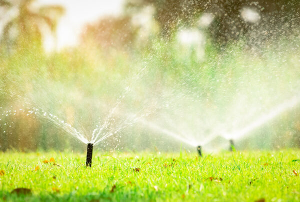 Sprinklers watering lawn